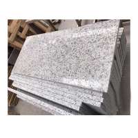 Yunfu Cheap Bala White Natural Granite Big Slabs